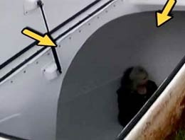 ABD'deki dehşetin son görüntüleri