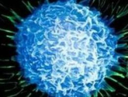 'Ömür uzatan' prostat ilacı onay bekliyor